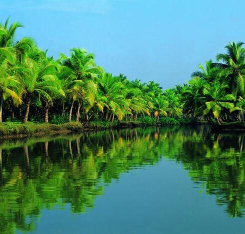 Alleppey tur packages