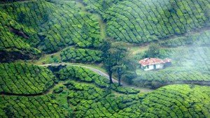 a treditional home in munnar tea plantaions The Indian Journeys 3