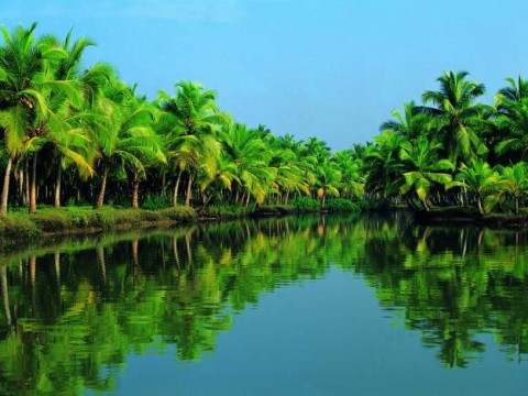 Alleppey tur packages