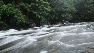 adyanpara waterfalls malappuram20131106150859 38 1 The Indian Journeys 3