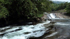 adyanpara waterfalls malappuram20131119153239 38 1 The Indian Journeys 3