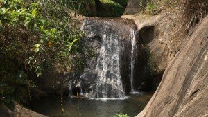 aruvikuzhy waterfalls pathanamthitta20140104090717 551 1 The Indian Journeys 3
