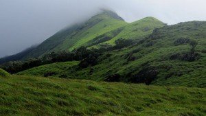 chembra peak in wayanad20131119171528 508 2 The Indian Journeys 3